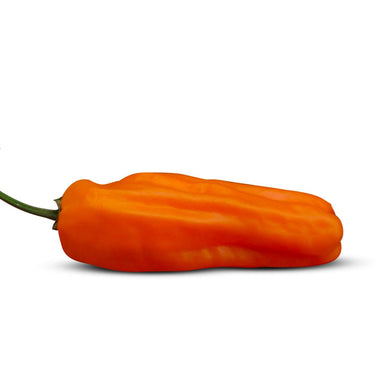 Jalapeno Orange Spice Pepper Seeds - The Pepper Pantry (Formerly Marie Sharp's)